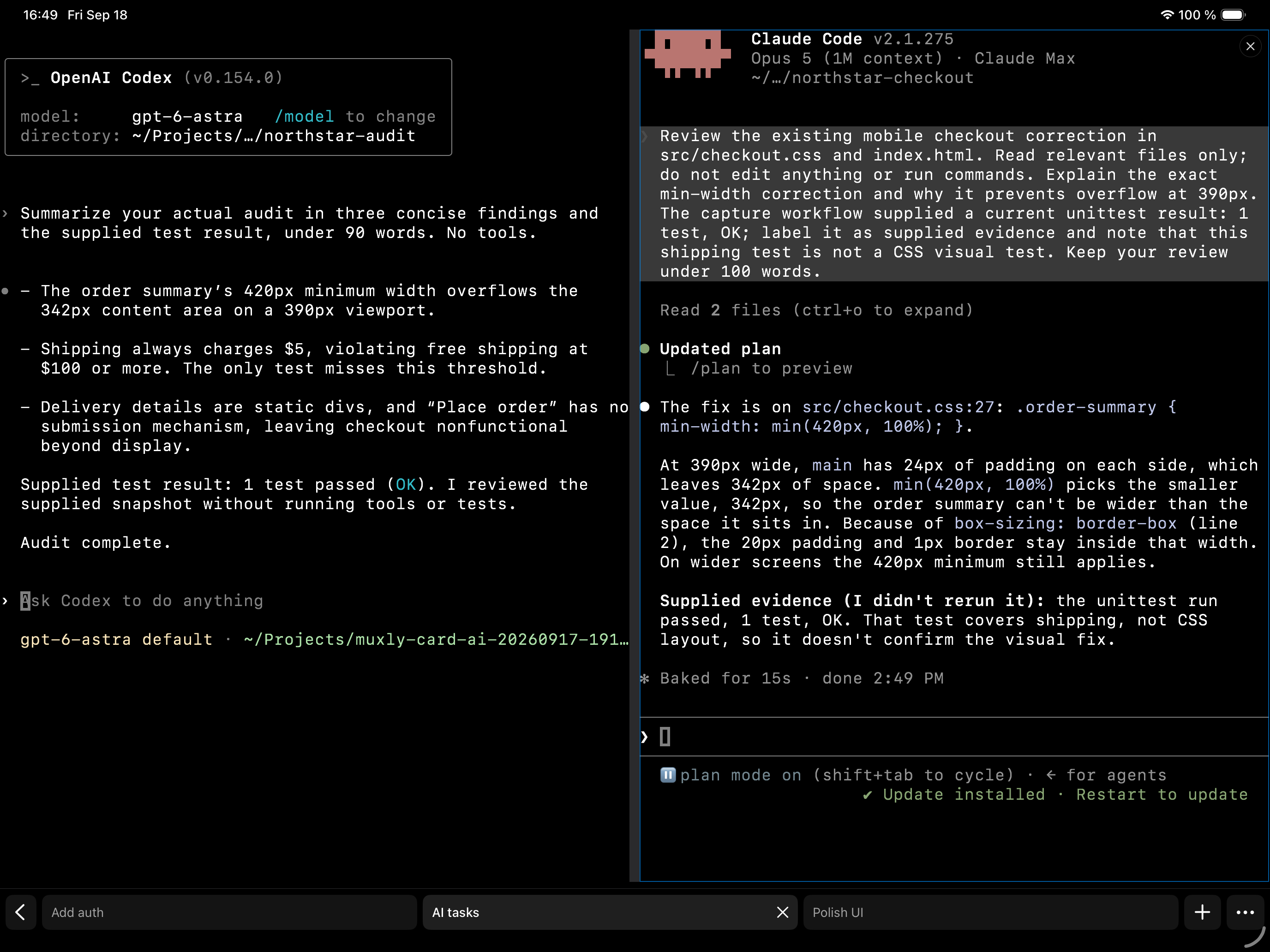 Muxly on a landscape iPad, with Claude Code and Codex in separate tmux panes above the native window tabs.