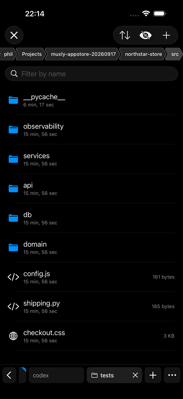 Muxly's File Explorer on iPhone listing the src folder of a project over SFTP, with a path bar and filter field.